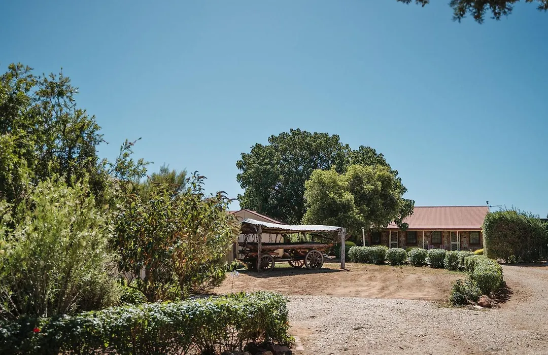 Langmeil Cottages-1